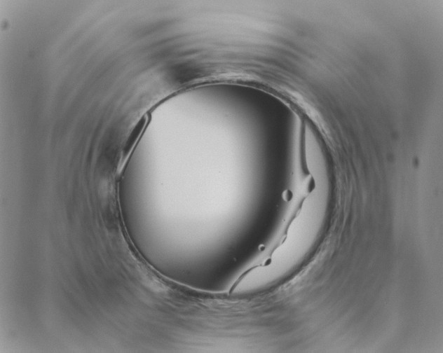 X0000089361281200707061040