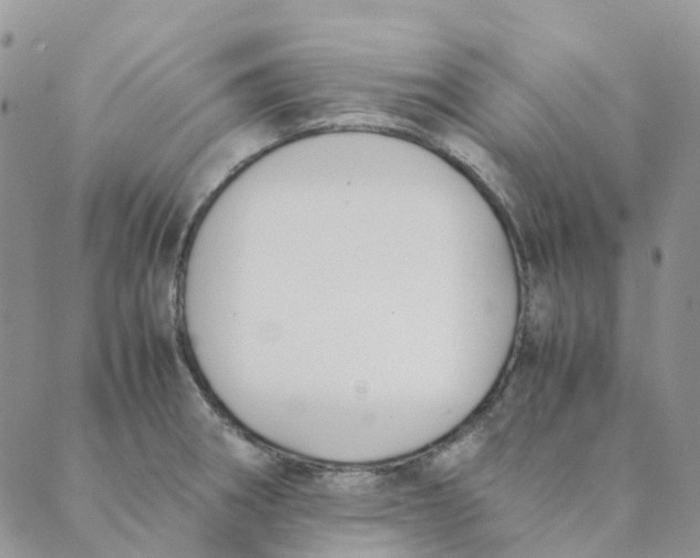 X0000089361282200707061040