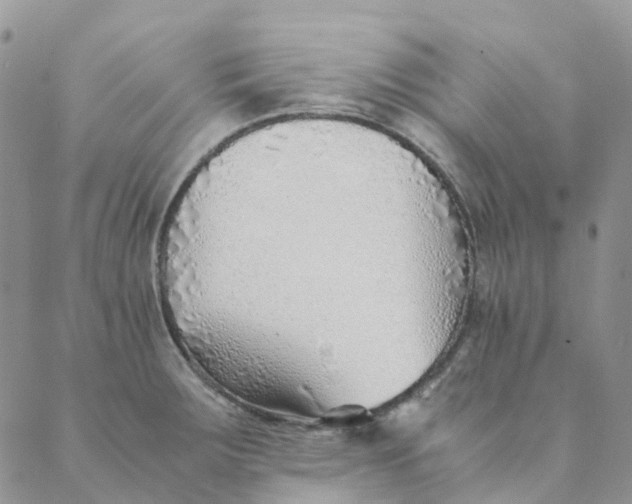 X0000089361283200707061040