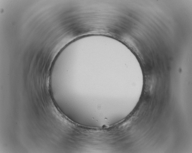 X0000089361284200707061040