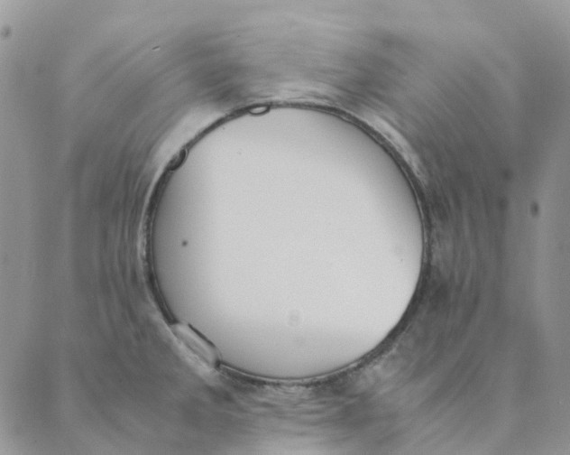 X0000089361285200707061040