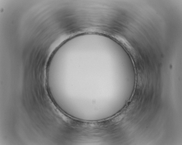 X0000089361286200707061040