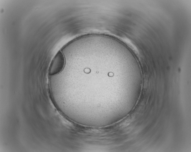 X0000089361287200707061040