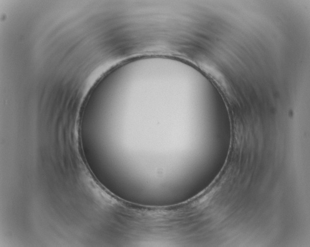 X0000089361288200707061040