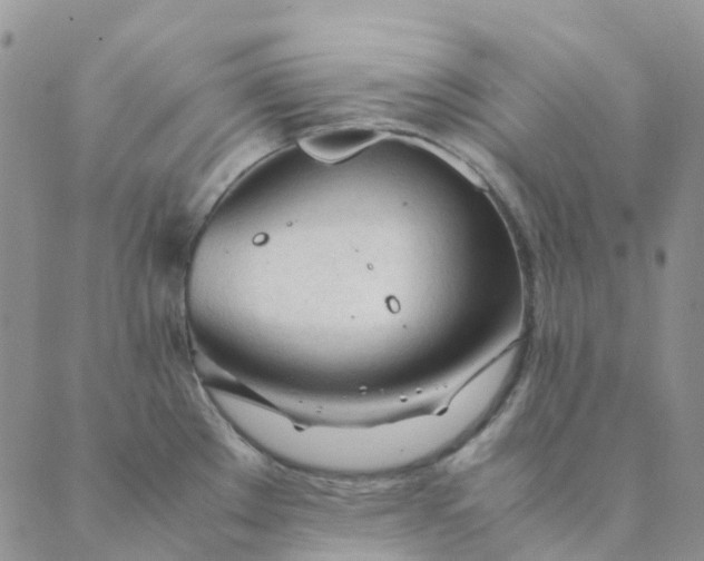 X0000089361289200707061040