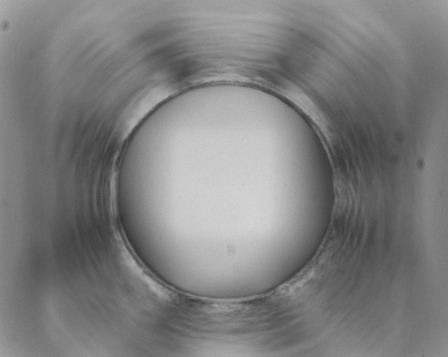 X0000089361290200707061040