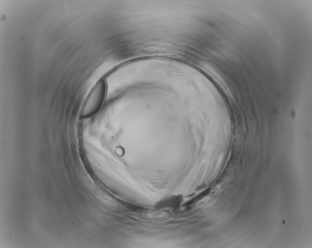 X0000089361291200707061040