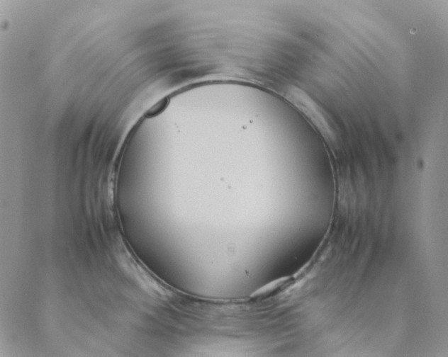 X0000089361292200707061040