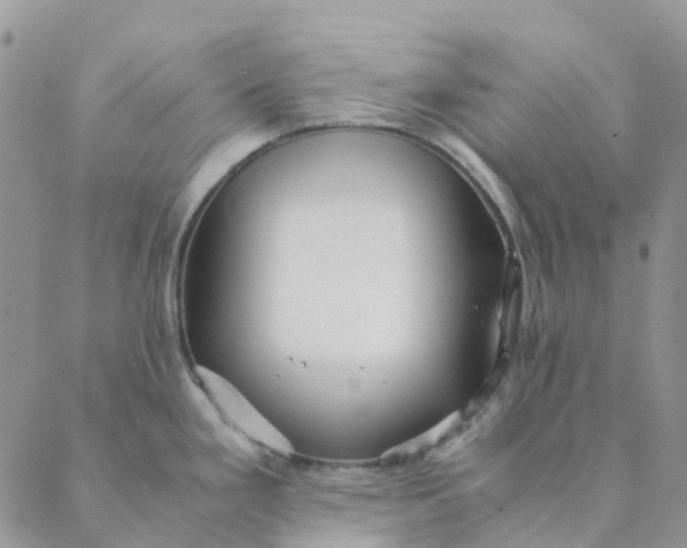 X0000089361293200707061040