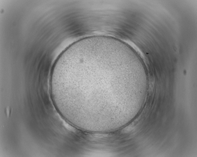 X0000089361294200707061040