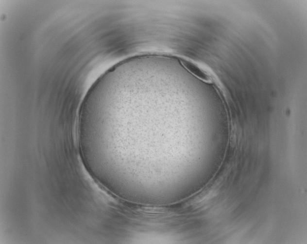 X0000089361295200707061040