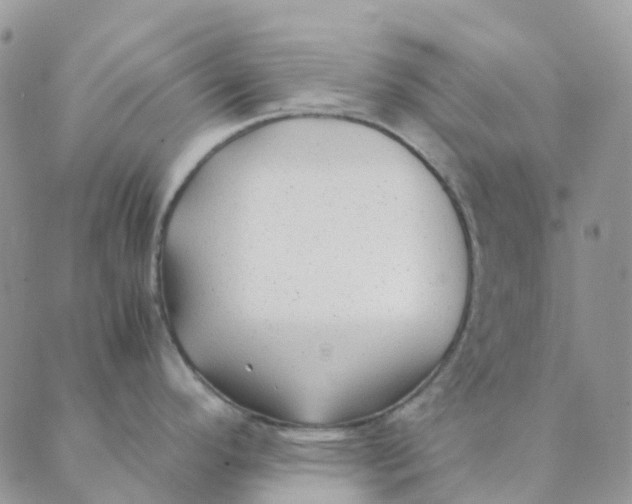 X0000089361296200707061040