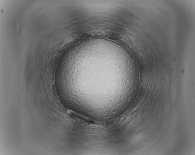 X0000089361297200707061039