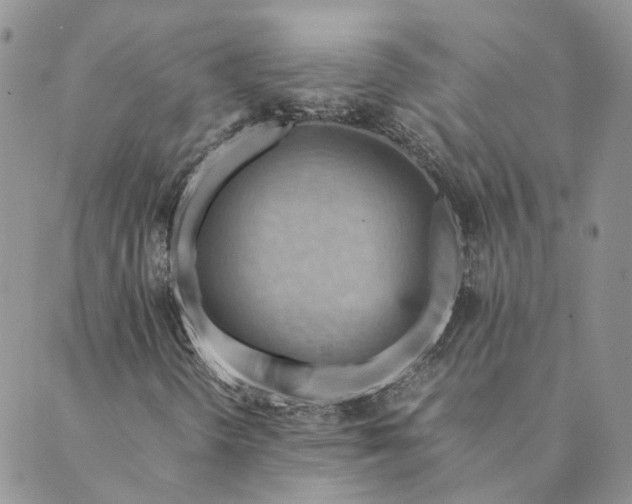 X0000089361298200707061039