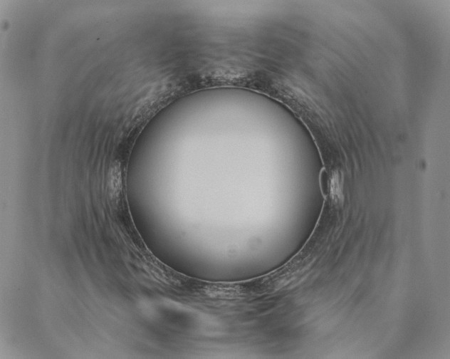 X0000089361299200707061039