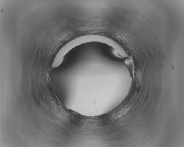 X0000089361300200707061039