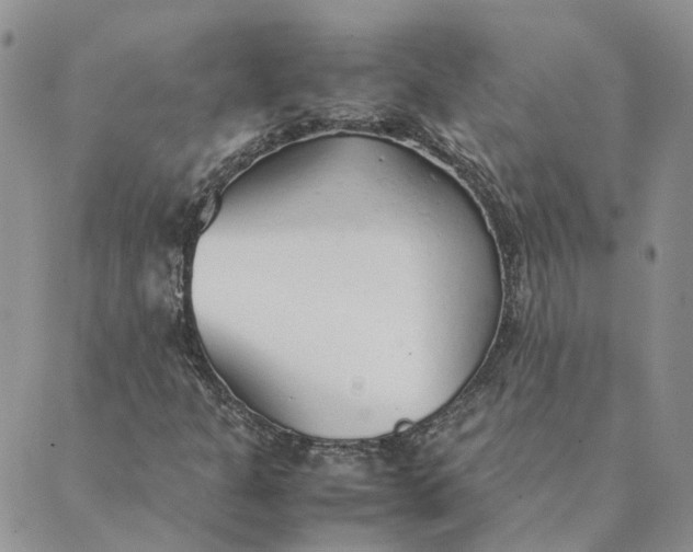 X0000089361301200707061039