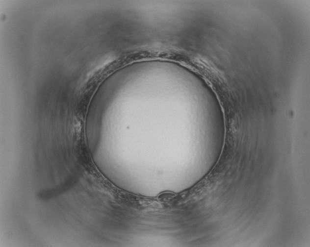 X0000089361302200707061039