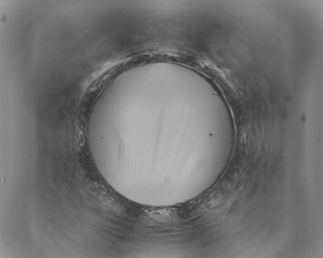 X0000089361303200707061039