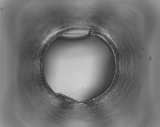 X0000089361304200707061039