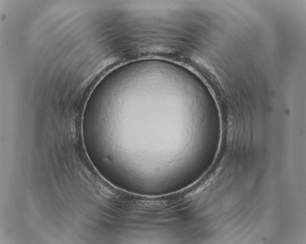 X0000089361305200707061039