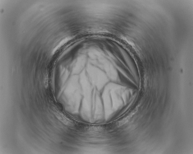 X0000089361306200707061039