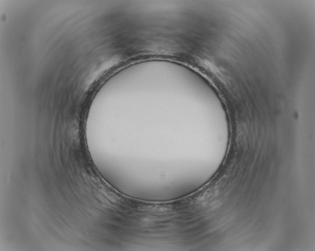 X0000089361307200707061039