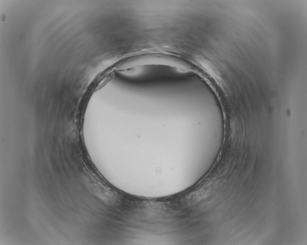 X0000089361308200707061039