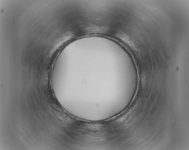 X0000089361309200707061039