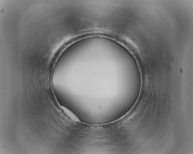 X0000089361310200707061039