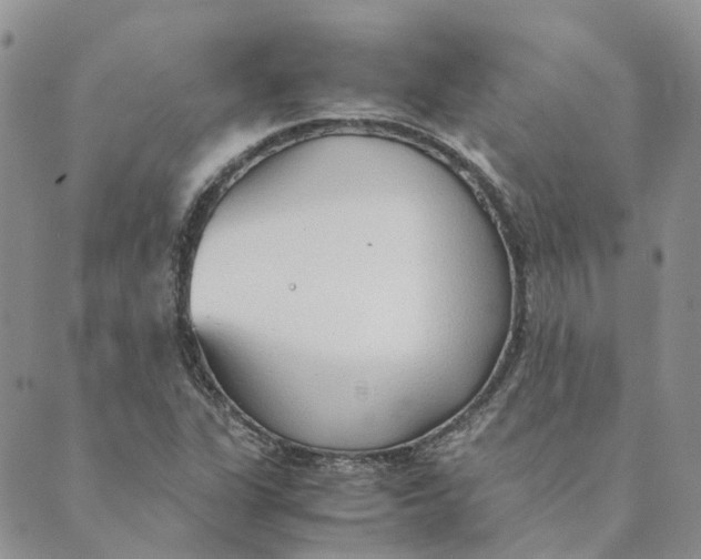 X0000089361311200707061039