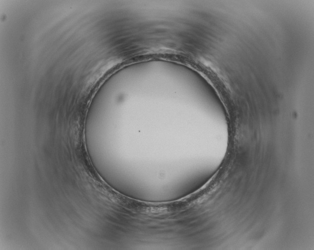 X0000089361313200707061039