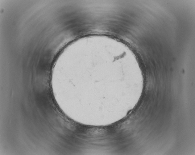 X0000089361314200707061039