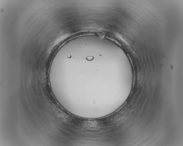 X0000089361315200707061039