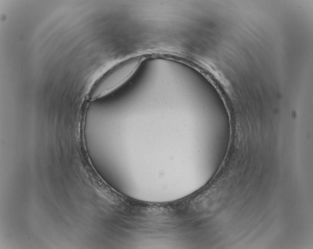 X0000089361316200707061039