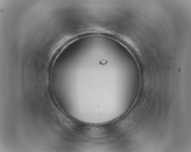 X0000089361318200707061039