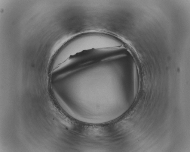 X0000089361319200707061039