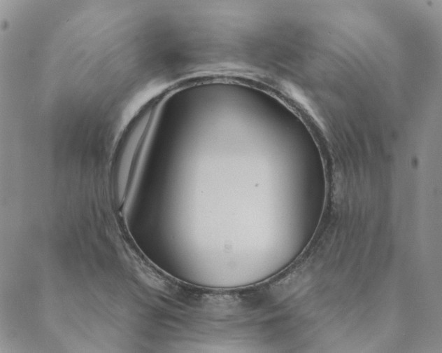 X0000089361320200707061039