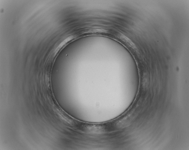 X0000089361321200707061039