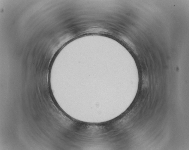 X0000089361322200707061039