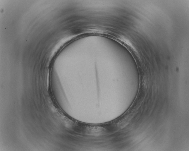 X0000089361323200707061039