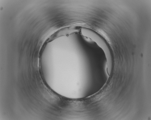 X0000089361324200707061040