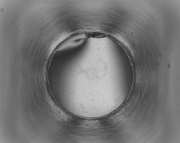 X0000089361325200707061040