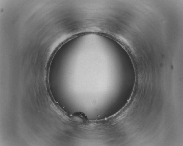 X0000089361326200707061040