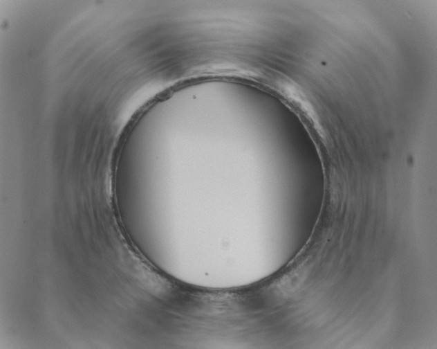 X0000089361328200707061040