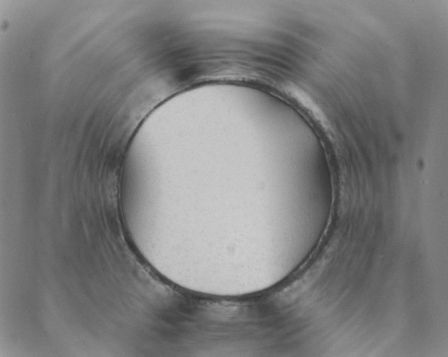 X0000089361329200707061040