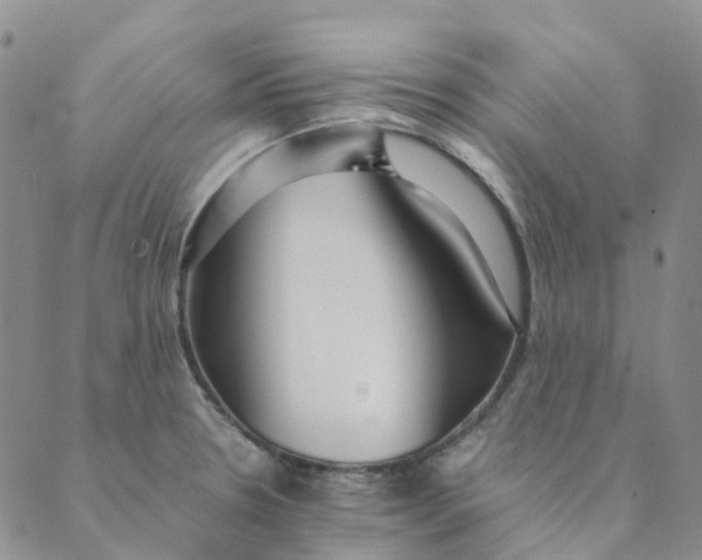 X0000089361330200707061040