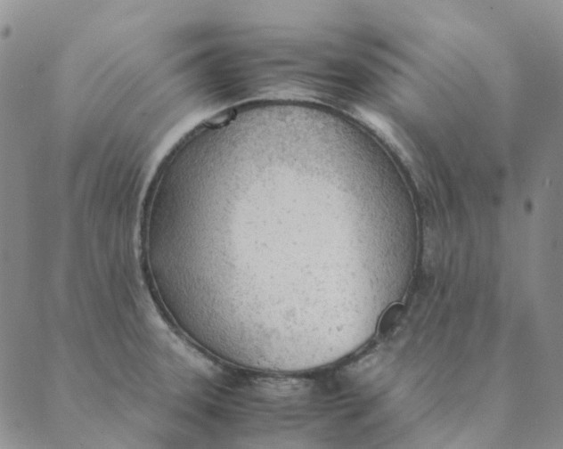 X0000089361331200707061040