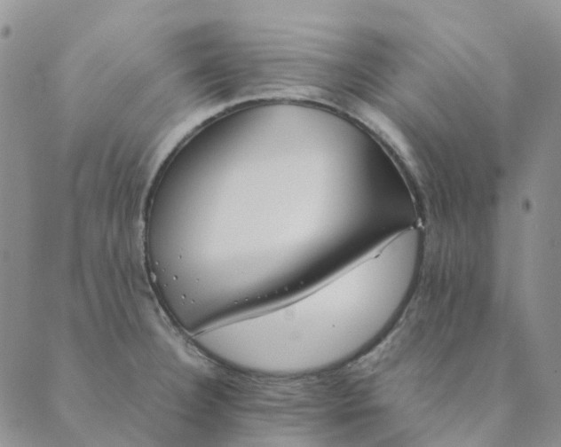 X0000089361332200707061040