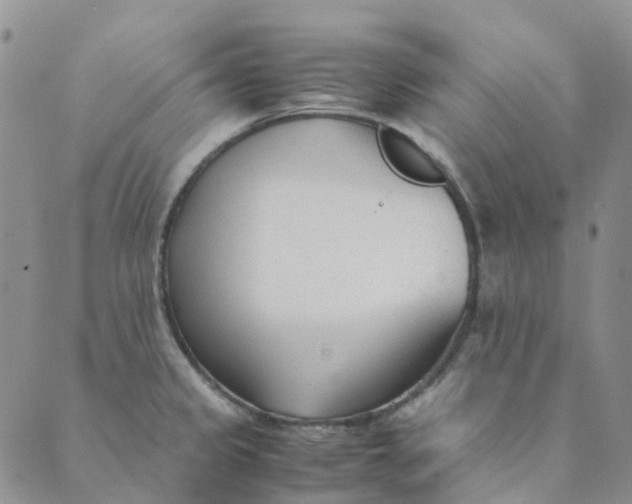 X0000089361333200707061040